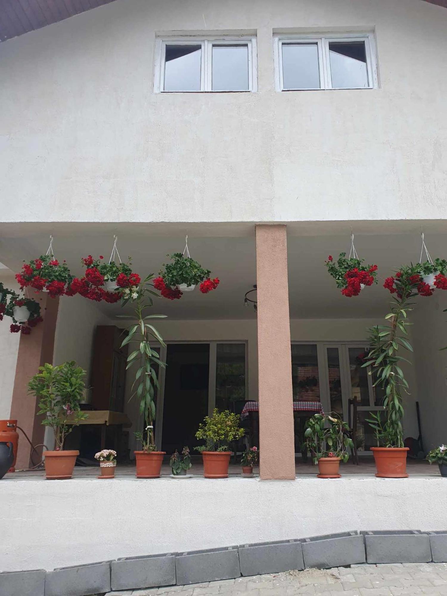 فندق Casa Maksai سوفاتا المظهر الخارجي الصورة