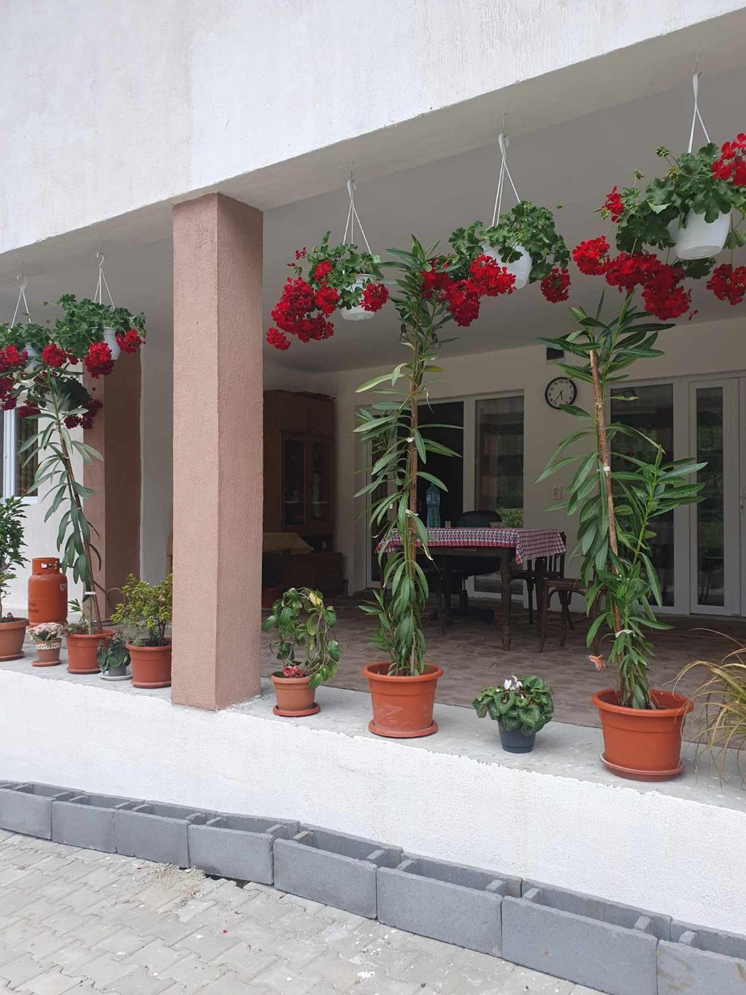فندق Casa Maksai سوفاتا المظهر الخارجي الصورة